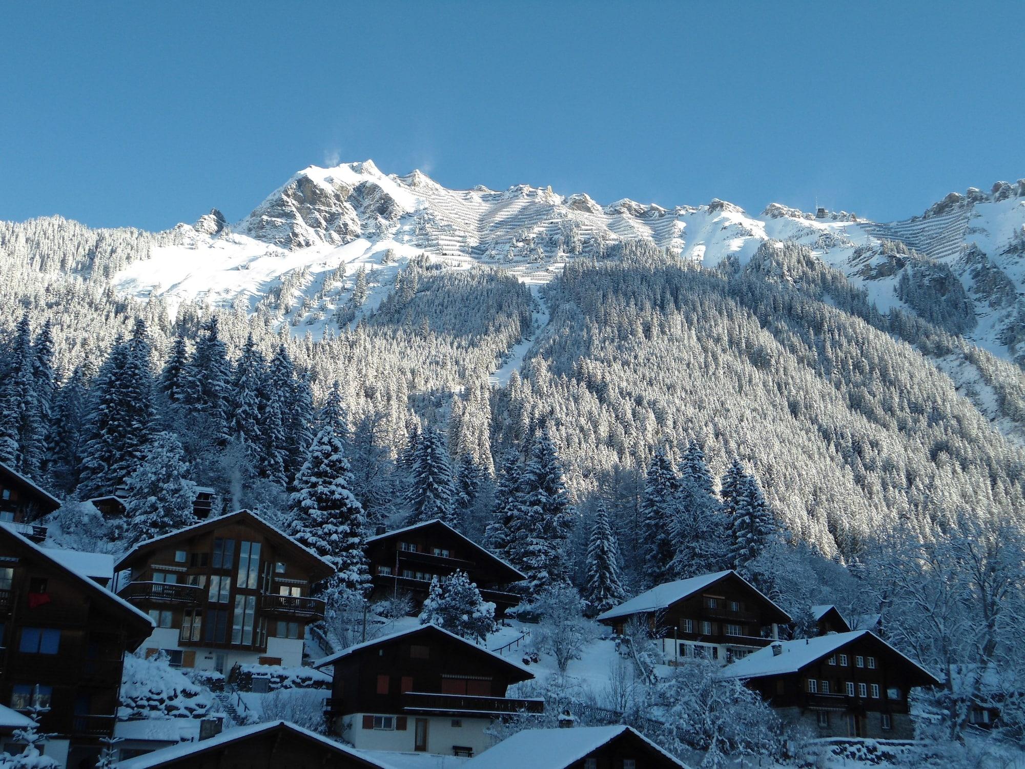 Hotel Belvédère Wengen Extérieur photo