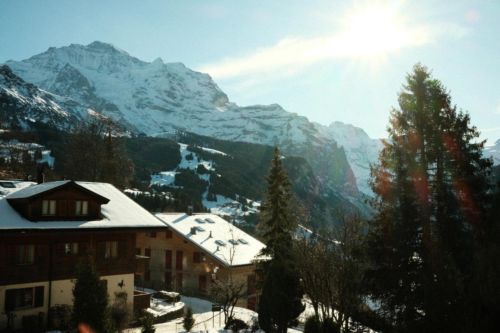 Hotel Belvédère Wengen Extérieur photo